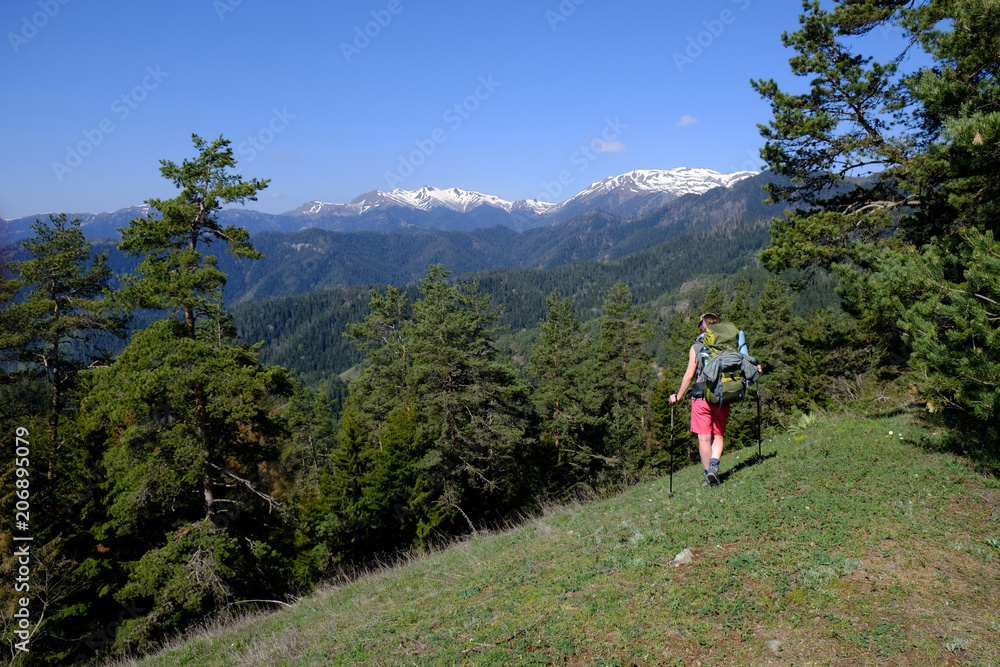 Gruzja, Park Narodowy Borjomi – Kharagauli - górski krajobraz z trystką
