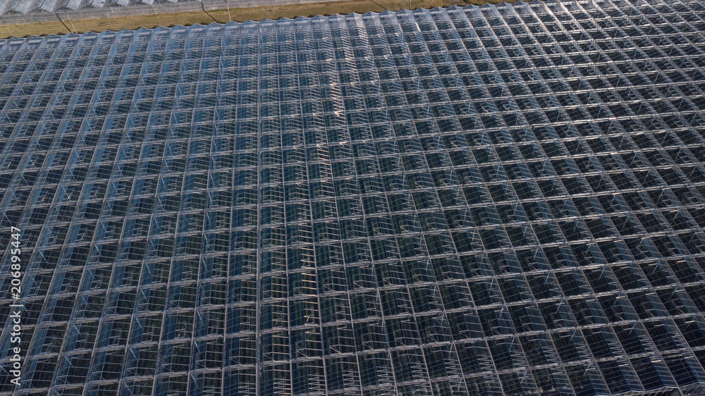 Aerial agricultural view of lettuce production field and greenhouse Aerial agricultural view of lettuce production field and greenhouse
