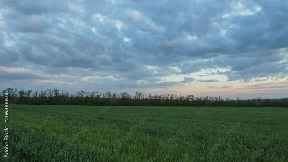 Russia, time lapse. The movement of the thunderclouds over the fields of winter wheat in early spring in the vast steppes of the Don. Russia, time lapse. The movement of the thunderclouds over the fields of winter wheat in early spring in the vast steppes of the Don.