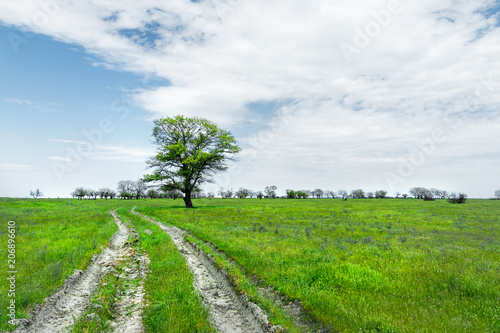 Summer landscape with green grass, road and clouds.