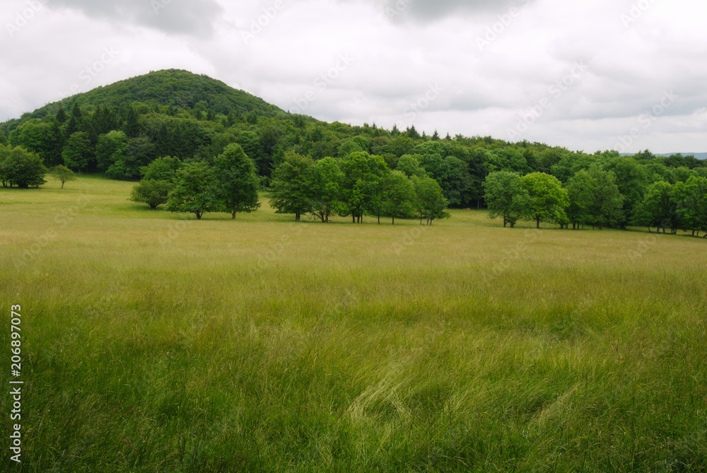 Obraz premium Beautiful summer landscape