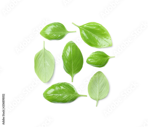 Fresh green basil leaves on white background, top view