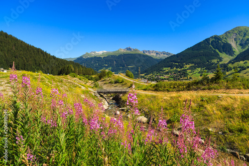 Swiss mountain valley landscape