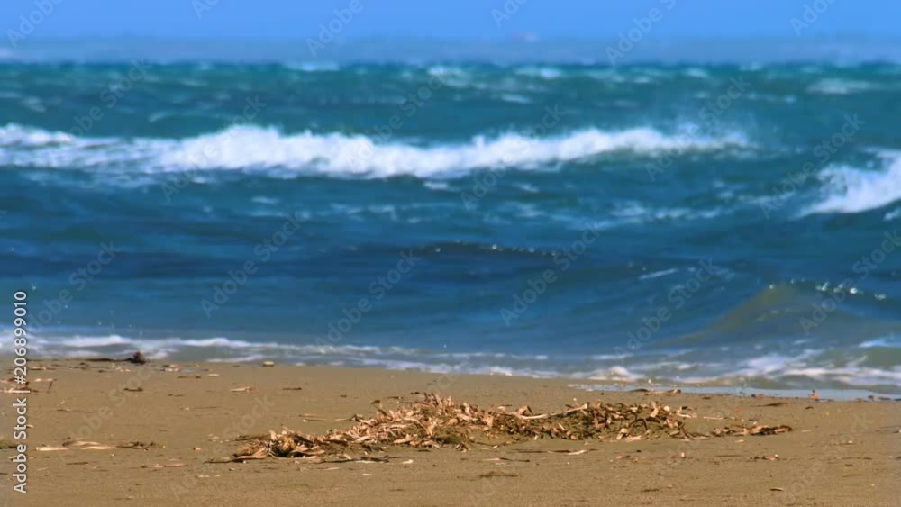 Blue sea waves on sandy beach, coastline nature, pollution and ecology problem Blue sea waves on sandy beach, coastline nature, pollution and ecology problem