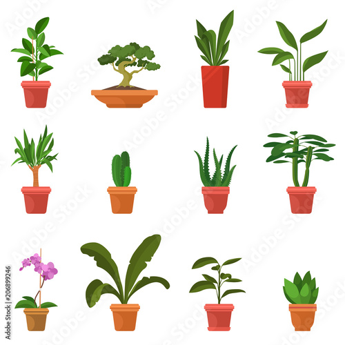 House plants vector illustration. Set of colorful indoor plants in flat cartoon style. Green leaves and inflorescences. Decorative elements for home and garden. Eps 10.