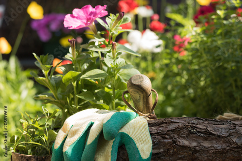 Фотография Close-up: garden tools and gloves are in a beautiful flowering garden on a sunny day