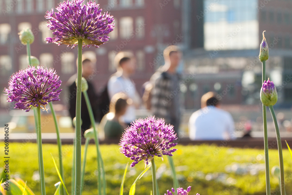 Φωτογραφία city view with people, buildings and flowers growing on a lawn in the park