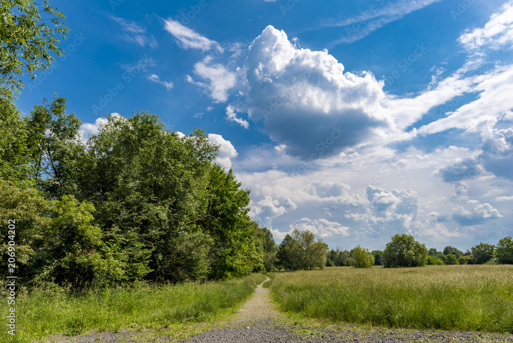 Naklejka premium Sich zu einer Gewitterzelle aufbauende Wolkenberge