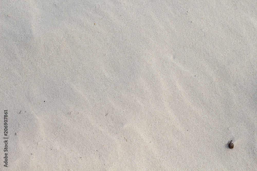 White sand photo background. Tropical coral sand beach texture. Paradise seaside backdrop. White sand photo background. Tropical coral sand beach texture. Paradise seaside backdrop.