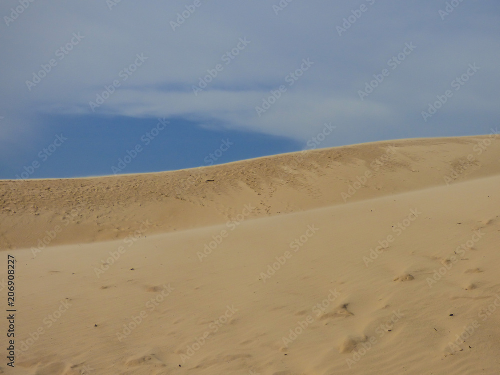 Sand dunes at Ingleses beach against blue sky - Florianopolis, Brazil