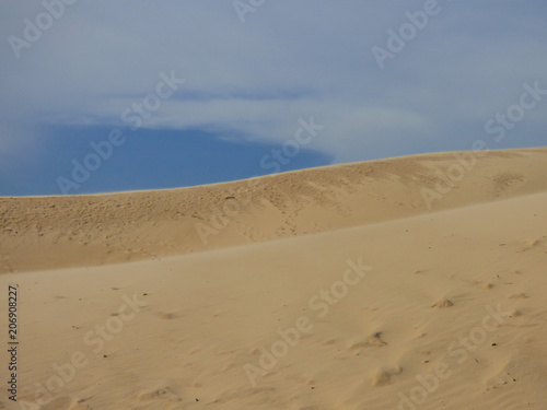 Sand dunes at Ingleses beach against blue sky - Florianopolis  Brazil