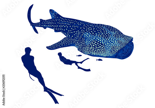 tiburon ballena