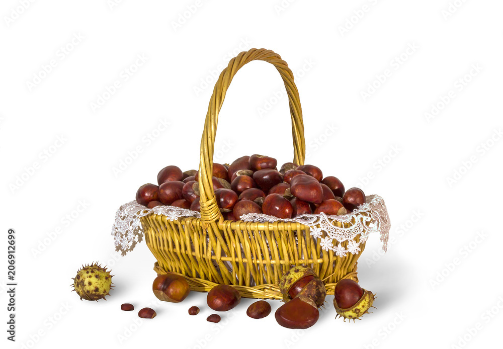 Ripe chestnut on white background. Ripe chestnut on white background.