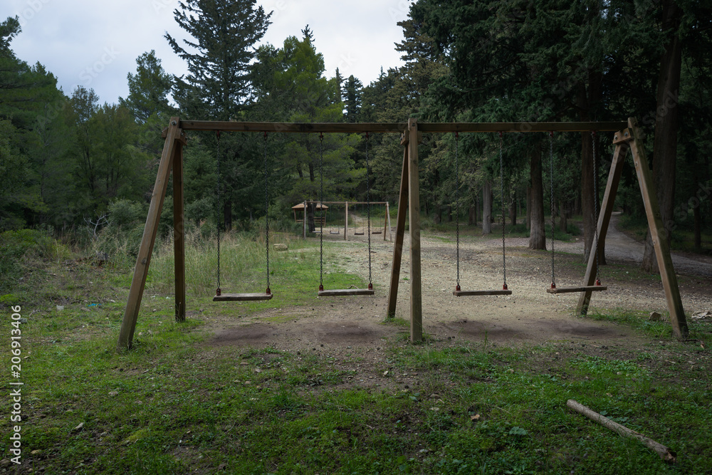 A set of swings in a forest opening 