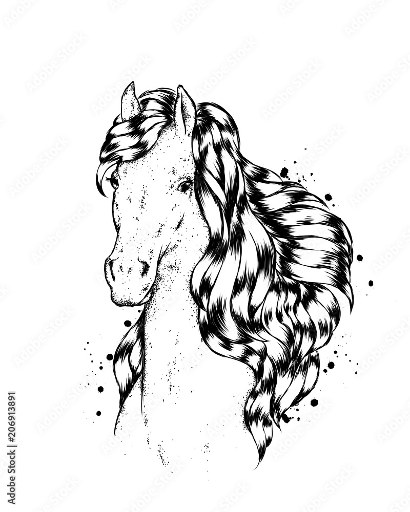 Naklejka A beautiful horse. Vector illustration.
