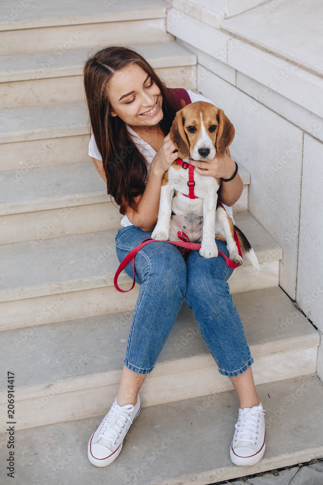 Beagle sneakers cheap