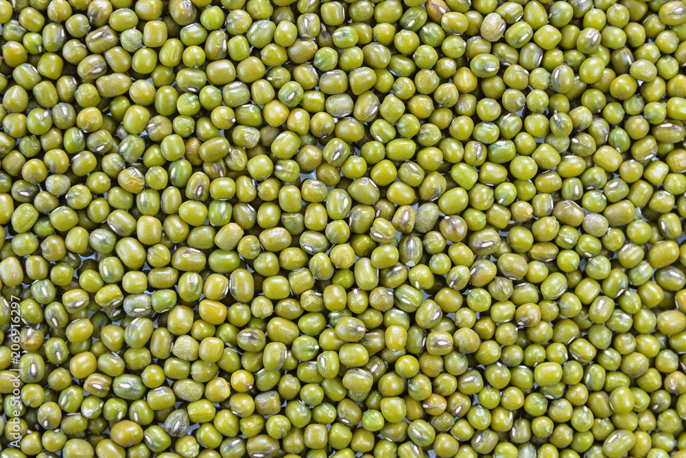 Mung bean in the background Mung bean in the background