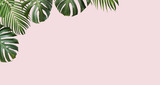 Tropical leaves monstera and yellow palm on pink background with copy space