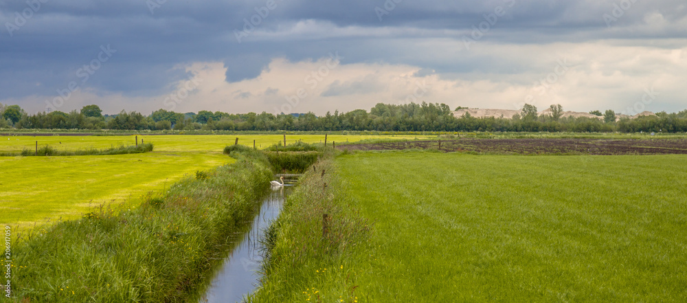 Panorama of dutch agricultural landscape - obrazy, fototapety, plakaty 
