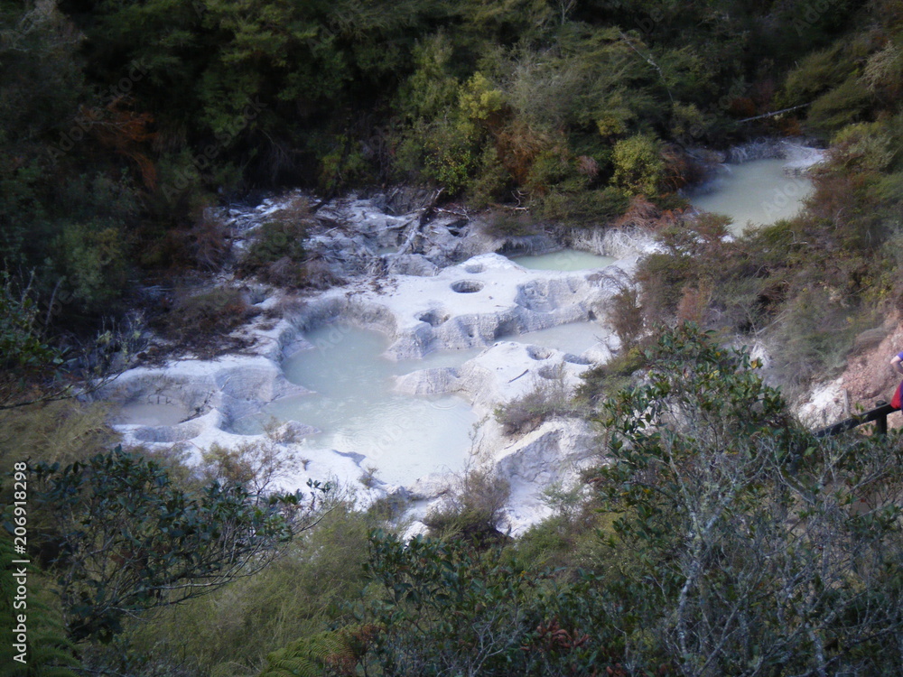 Geyser Geyser