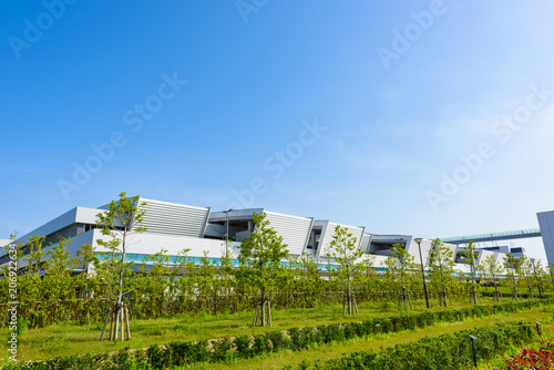 豊洲市場 Toyosu market