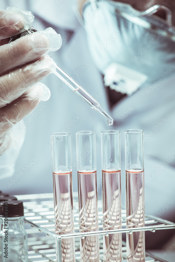 scientist dropping chemical liquid to flask with lab glassware background, Laboratory research concept,Researcher is dropping the reagent into test tube. scientist dropping chemical liquid to flask with lab glassware background, Laboratory research concept,Researcher is dropping the reagent into test tube.