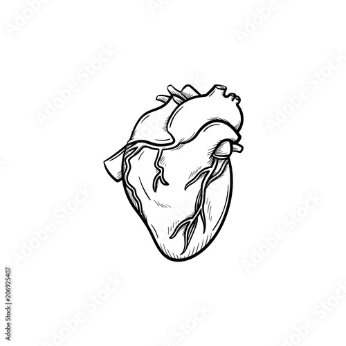 A heart hand drawn outline doodle icon