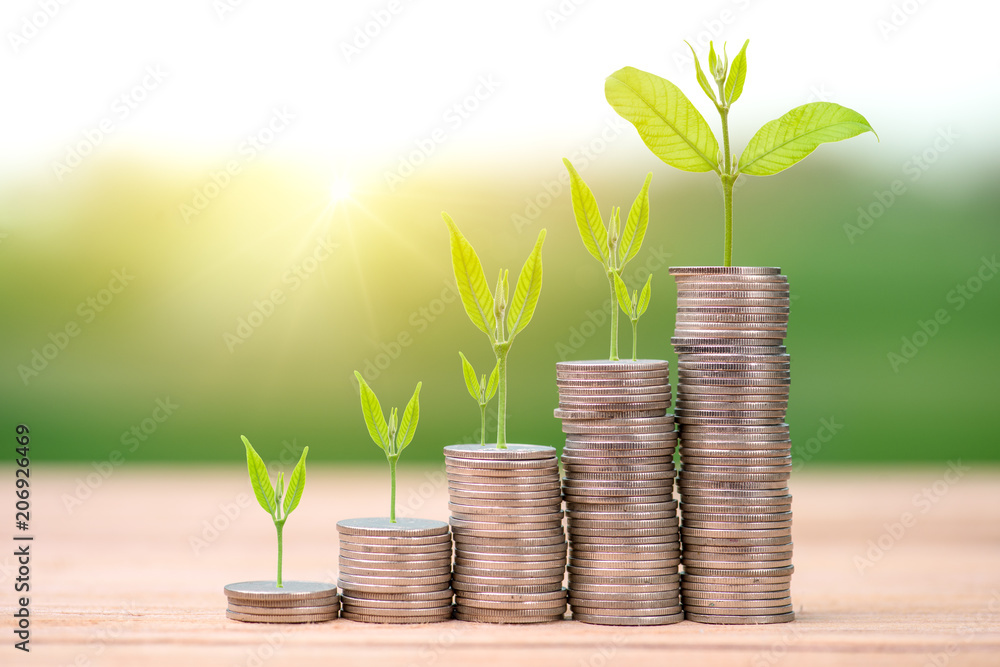 step of coins stacks with tree growing on top, nature background, money, saving and investment or family planning concept step of coins stacks with tree growing on top, nature background, money, saving and investment or family planning concept