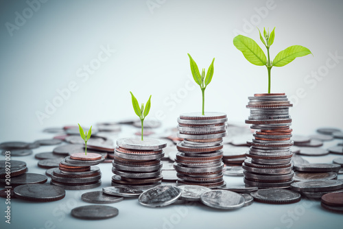 rows of coins for finance and business,Saving money and account finance bank business concept.