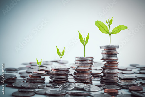 rows of coins for finance and business,Saving money and account finance bank business concept.