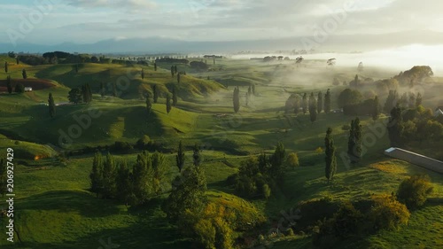 Drone shot New Zealand countryside with trees and road