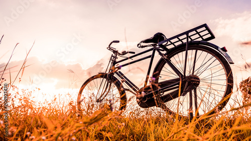 Vintage Bicycle with Summer grassfield © Looker_Studio