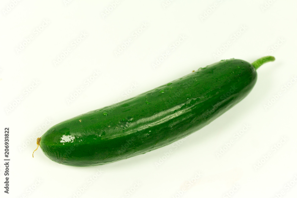 Big green cucumber on a white background Big green cucumber on a white background