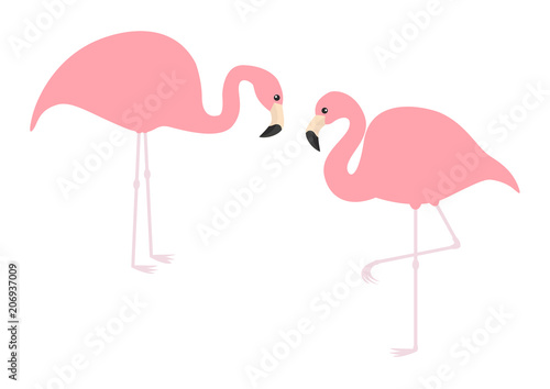Pink flamingo icon set. Exotic tropical bird. Zoo animal collection. Cute cartoon character. One leg. Looking on the ground. Decoration element. Flat design. White background. Isolated.
