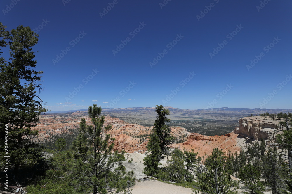 Naklejka premium Bryce Canyon National Park