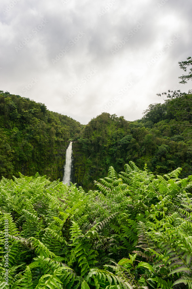 Fototapeta premium Hawaiian Waterfall Surrounded by Lush Vegetation