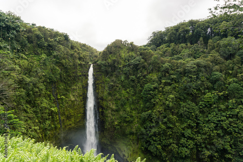 Hawaiian Waterfall Surrounded by Lush Vegetation