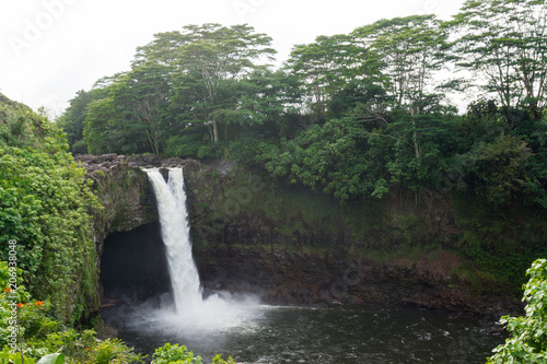 Hawaiian Waterfall Surrounded by Lush Vegetation