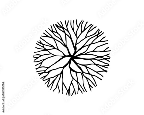 Tree rings saw cut tree trunk background. Vector illustration.