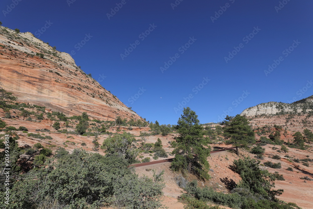 Fototapeta premium Zion National Park