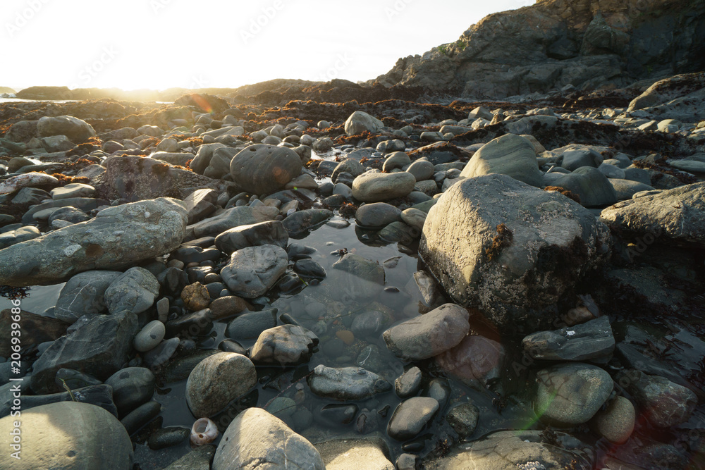 low tide tide pools exposed at sunset low tide tide pools exposed at sunset