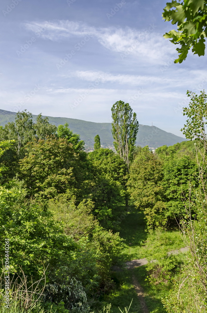 Landscape of springtime nature with  mix forest  in the South park and  Vitosha mountain, Sofia, Bulgaria 