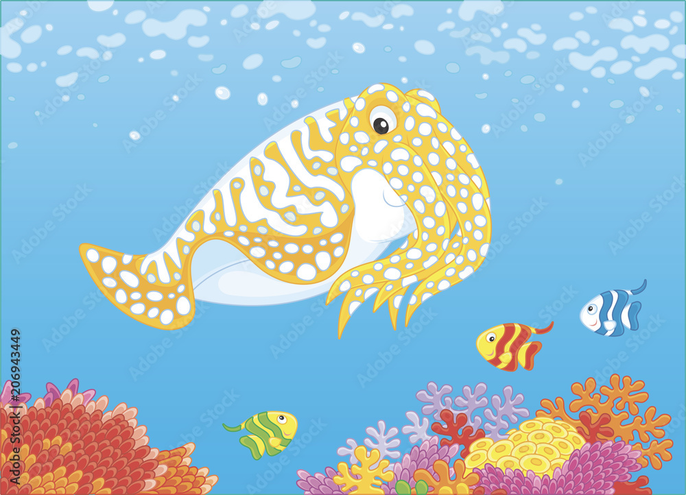 Fototapeta premium Cuttlefish and small butterfyfishes swimming over colorful corals on a reef in a tropical sea, vector illustration in a cartoon style