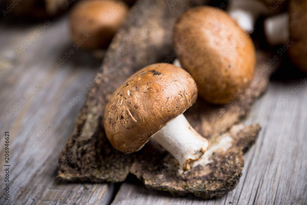 Fresh mushrooms on the rustic wooden background. Selective focus. Shallow depth of field. Fresh mushrooms on the rustic wooden background. Selective focus. Shallow depth of field.