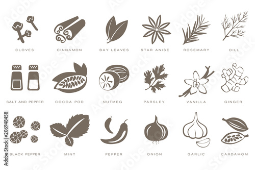 Fragrant spices linear icons set, spices and seasonings with names black vector Illustrations on a white background