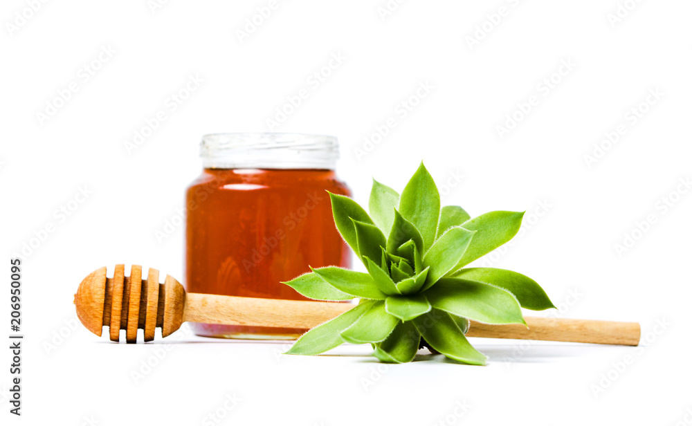 Jar of honey with houseleek plant isolated Jar of honey with houseleek plant isolated