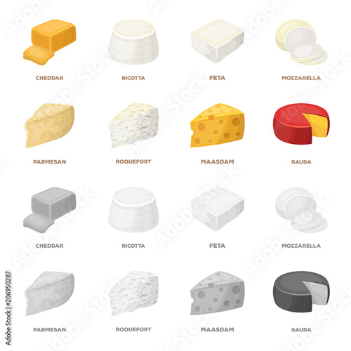 Parmesan, roquefort, maasdam, gauda.Different types of cheese set collection icons in cartoon,monochrome style vector symbol stock illustration web.