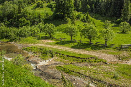 green summer forest mountain landscape with river in valley somewhere on country side