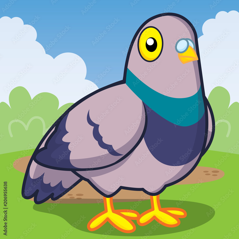 Pigeon cartoon, Cute animal, Cute vector Pigeon cartoon, Cute animal, Cute vector