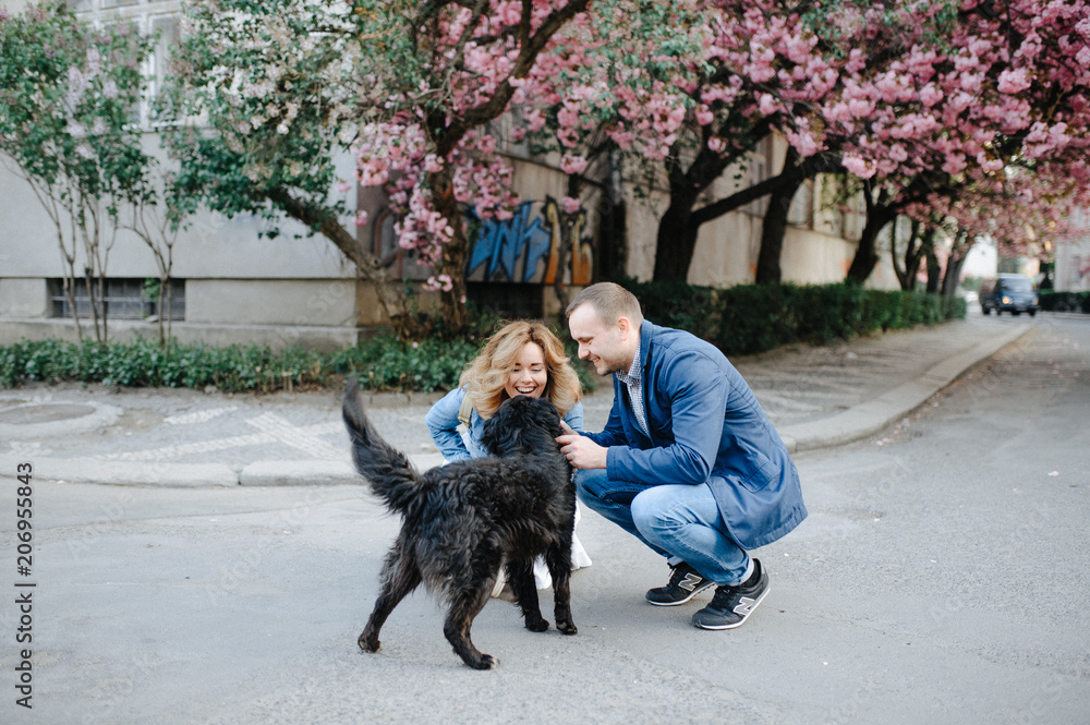 Young Love Couple Hugging their Dog in the Spring Park with Blooming Cherry Tree Young Love Couple Hugging their Dog in the Spring Park with Blooming Cherry Tree